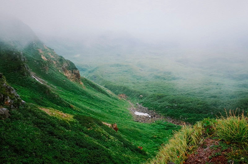 濃いガスに包まれる鳥海山の山肌の写真