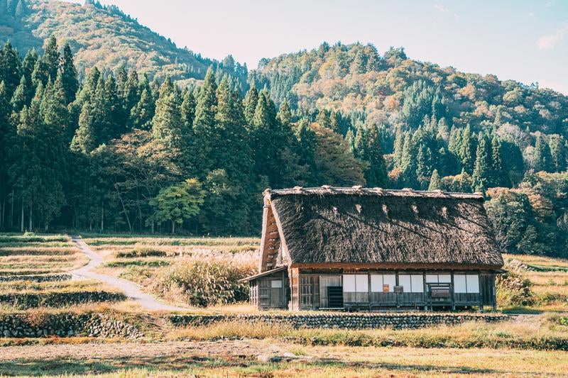 岐阜県白川郷田園に建つ合掌作りの家の写真