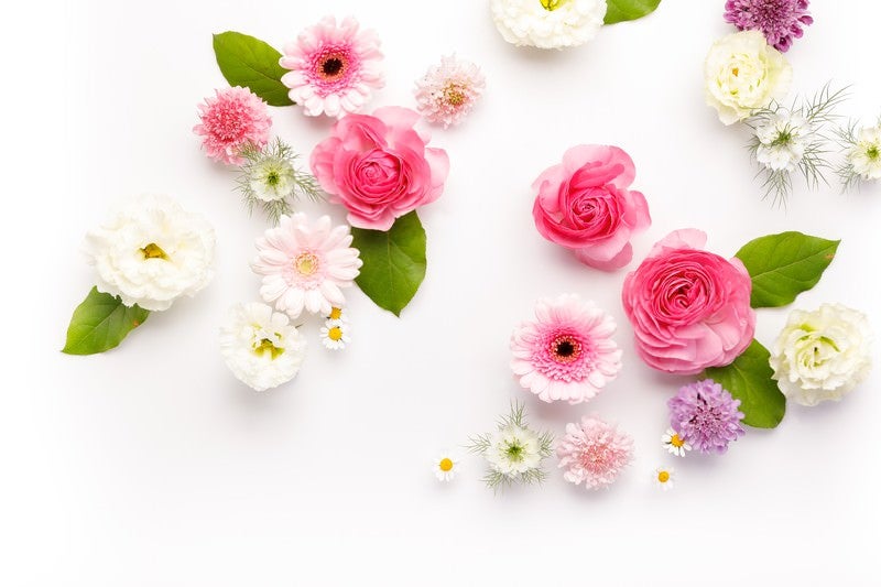 お花のストックフォトの写真