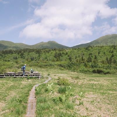 湿原から見上げる八甲田大岳の写真