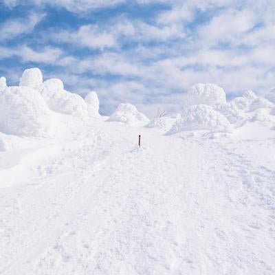 踏み固められた登山道と小さな樹氷の写真