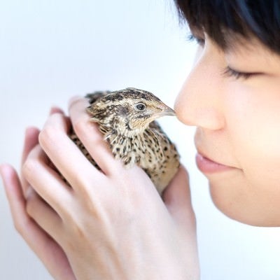 手乗りのウズラと女性の横顔の写真