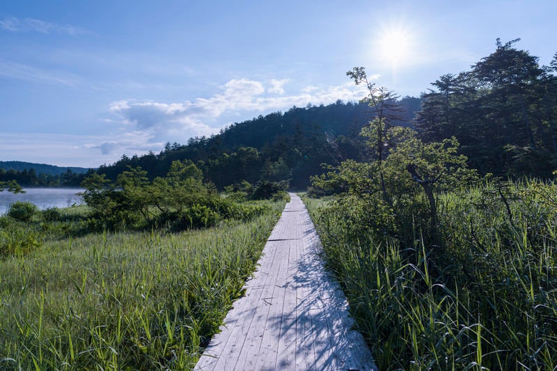 尾瀬沼湖畔の木道と湖の写真