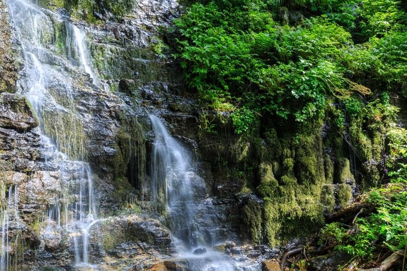 滝の沢三十三観音（苔むす仏像たち）の写真