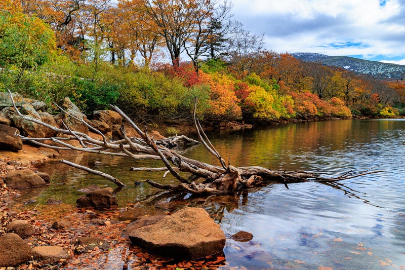 紅葉の須川湖の写真