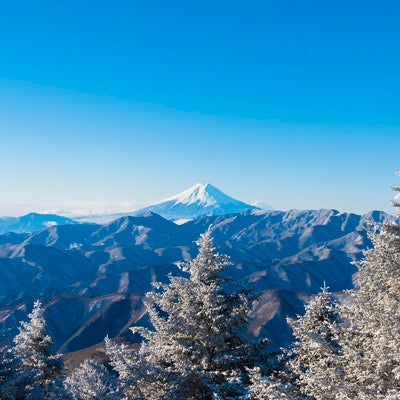 霧氷と富士山（雲取山）の写真