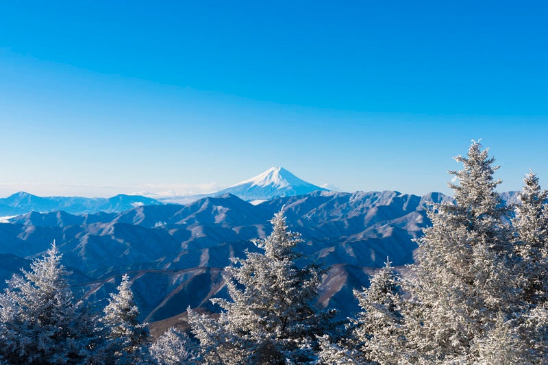 霧氷と富士山（雲取山）の写真