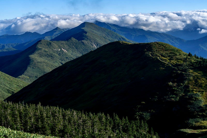 谷川岳へと続く上越国境尾根（巻機山）の写真