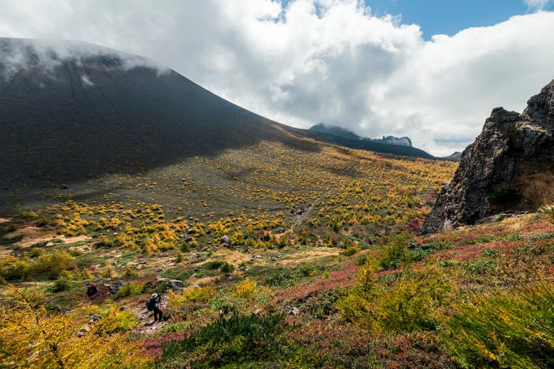 黄色い紅葉が広がる浅間山の写真