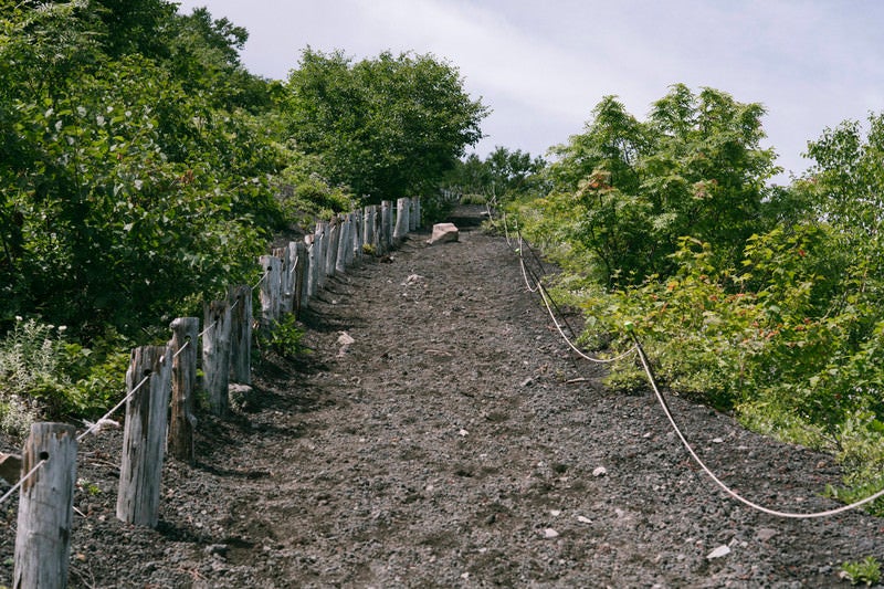 焼け走り岩手残の登山道の景色の写真