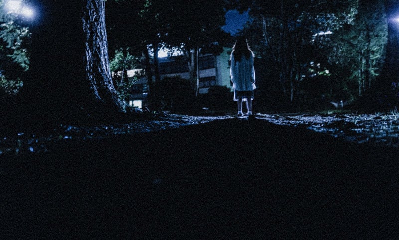 すべてはホラーのためにの写真