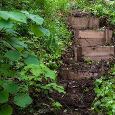 登山愛好家の協力で整備された乗鞍新登山道の階段の写真