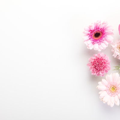 生花のフレームの写真