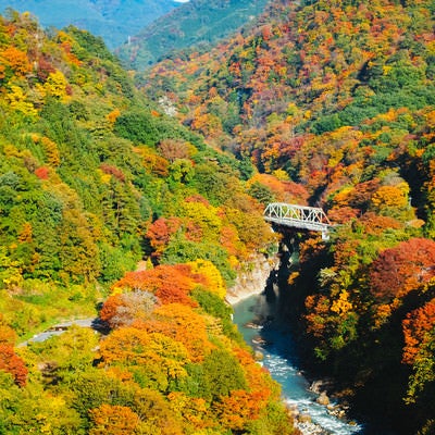 黄葉時期の吾妻峡の写真