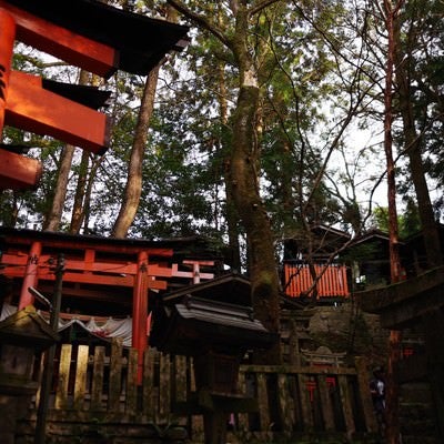 山の側面にある鳥居のお塚群の写真