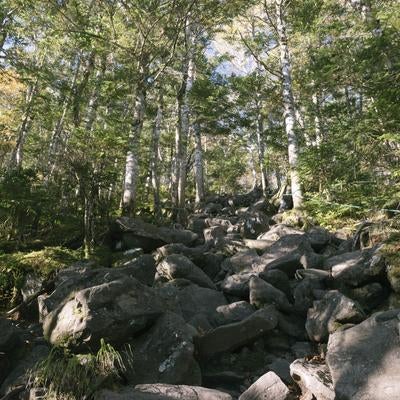 蓼科山荘から山頂への登り道の写真