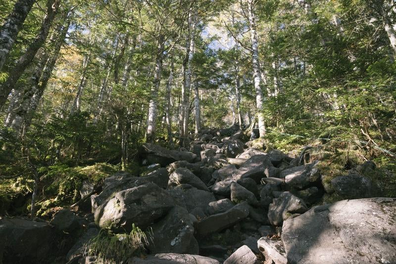 蓼科山荘から山頂への登り道の写真