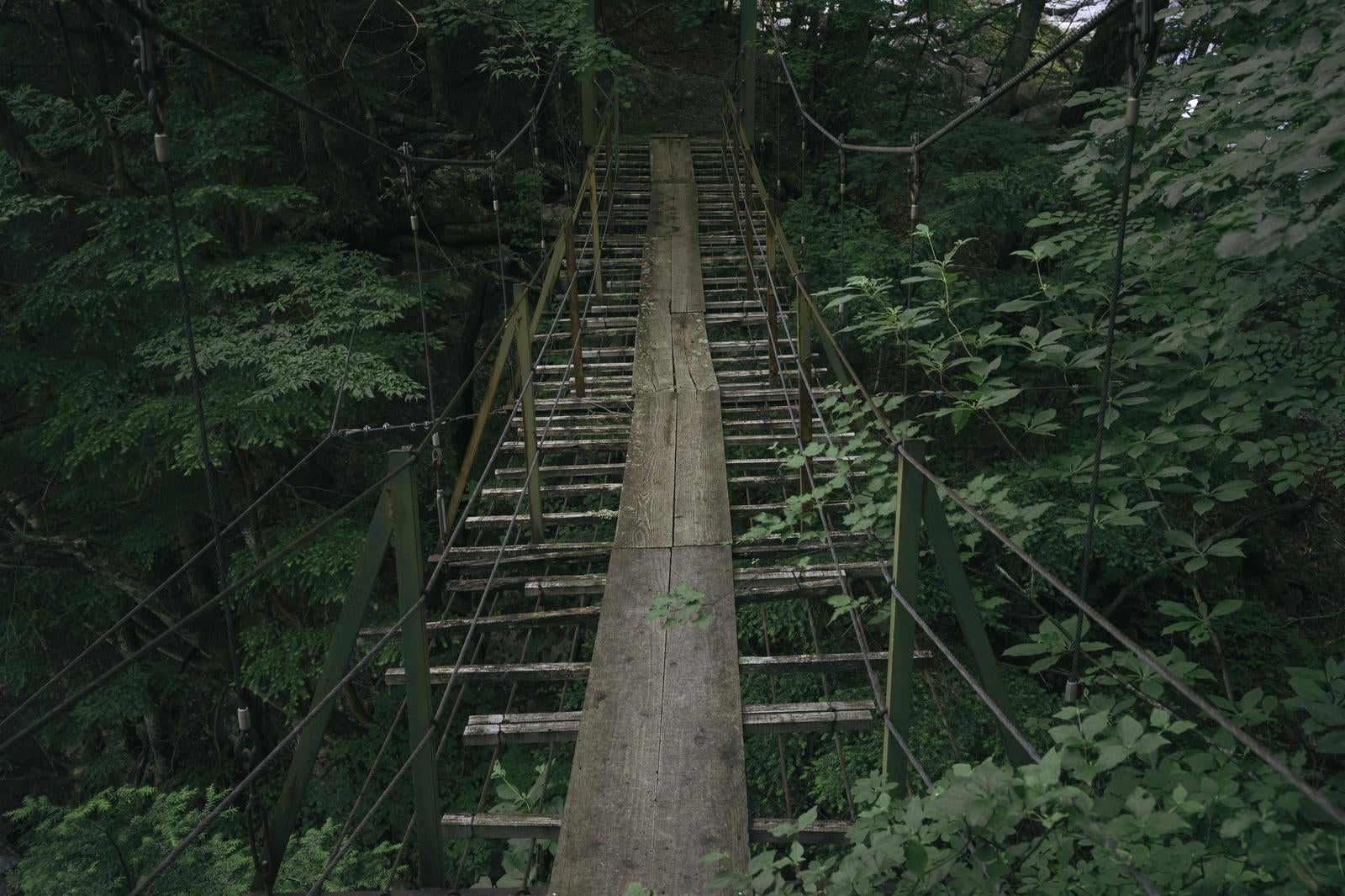 「老朽化が激しい光岳登山道のつり橋」の写真