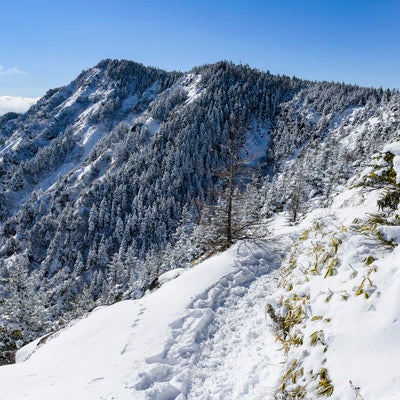蛇骨山へと向かう稜線から見る黒斑山（浅間山）の写真