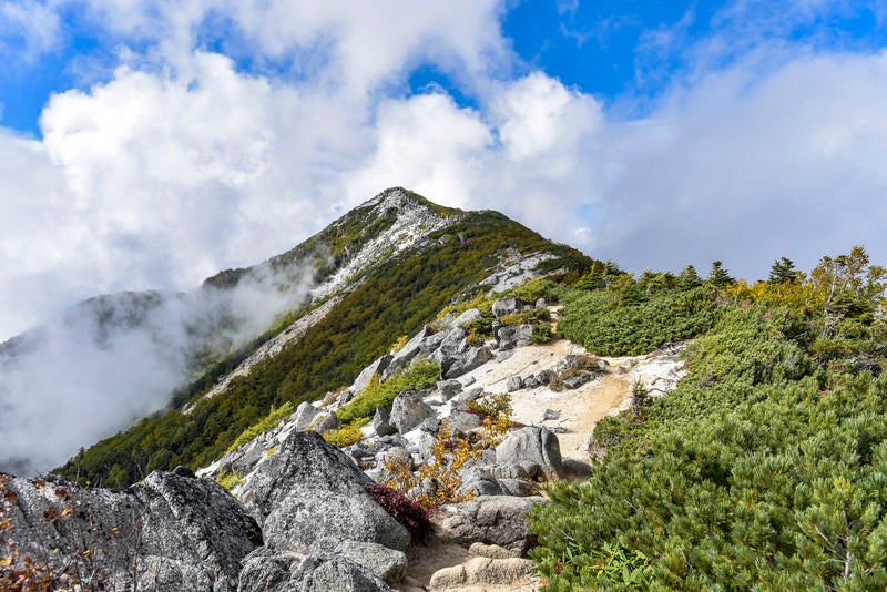 紅葉の鳳凰山観音岳方面（鳳凰三山）の写真