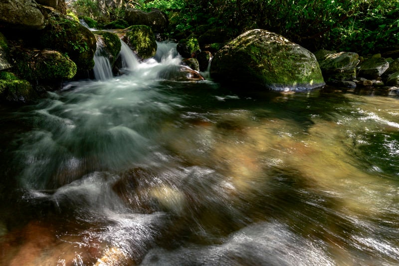 火打山を流れる黒沢の渓流の写真
