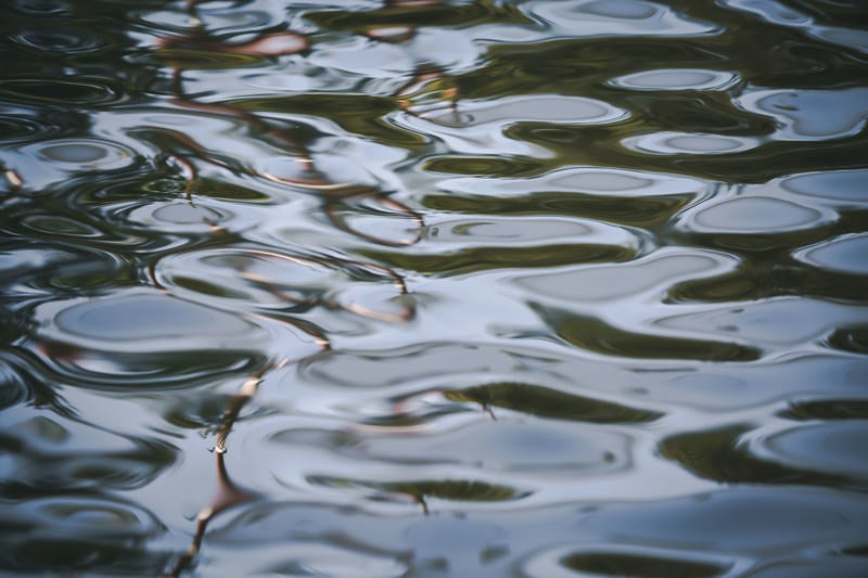 水面に広がる波の写真