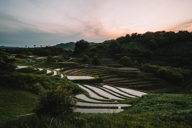 山あいに広がる下赤阪の棚田の写真