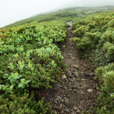 硫黄岳の山頂を目指す登山道の写真