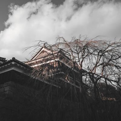 上田城 北櫓の様子の写真