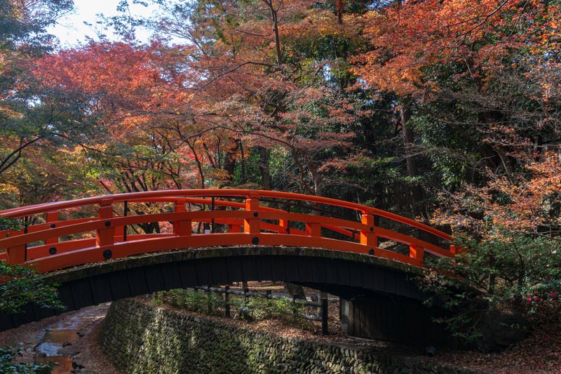 御土居のもみじ苑の鶯橋の写真